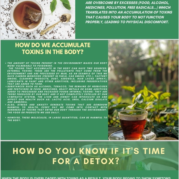 Tea Vida Divina - Picture 5 of 12